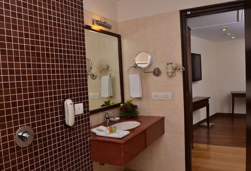 ホテル Le Lac Sarovar Portico Ranchi