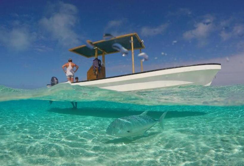 هتل Matriki Beach Huts