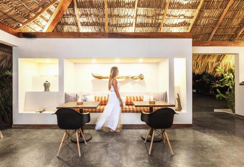 Отель Meson Nadi