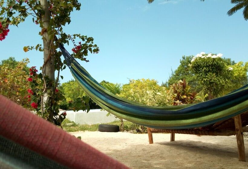 Отель Mnana Lodge Kizimkazi