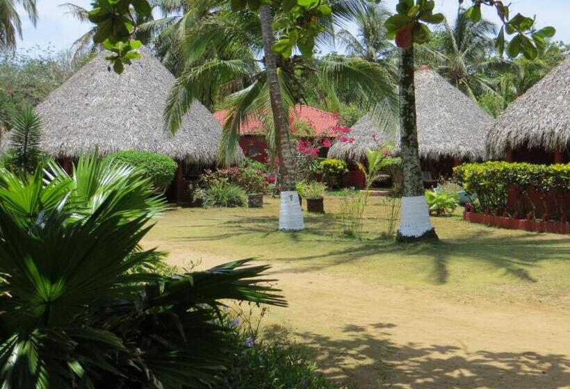 Отель Paraiso Beach