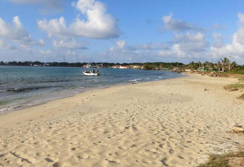 Отель Paraiso Beach