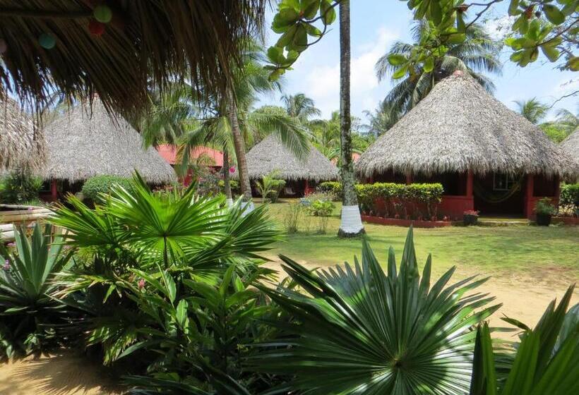 Отель Paraiso Beach