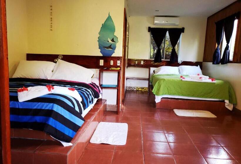 Отель Paraiso Beach