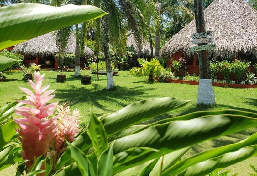 Отель Paraiso Beach