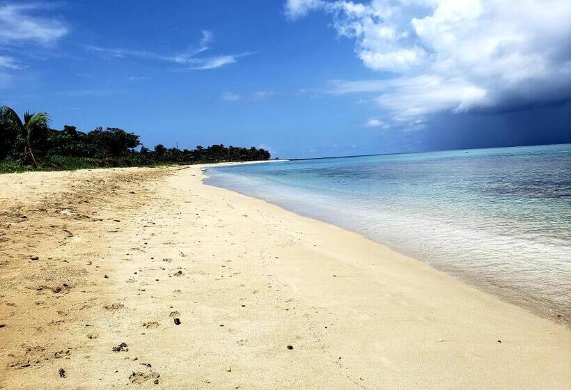 Отель Paraiso Beach