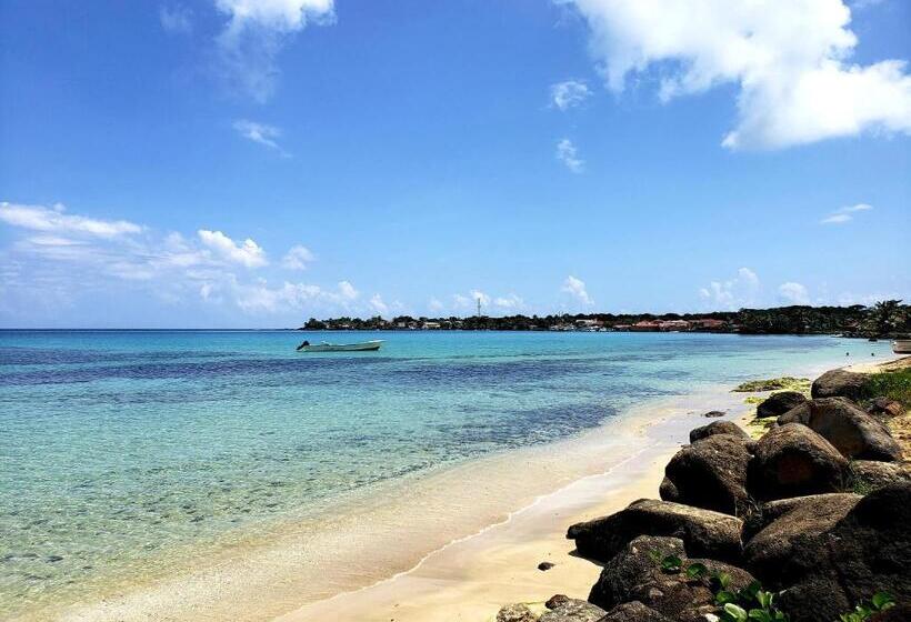 Отель Paraiso Beach