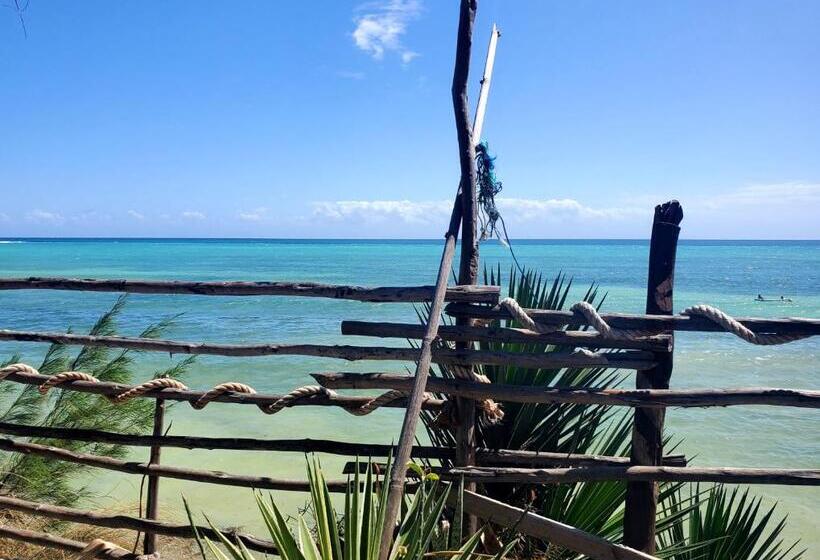 ホテル Promised Land Lodge