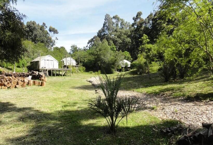 هتل Pueblo Barrancas