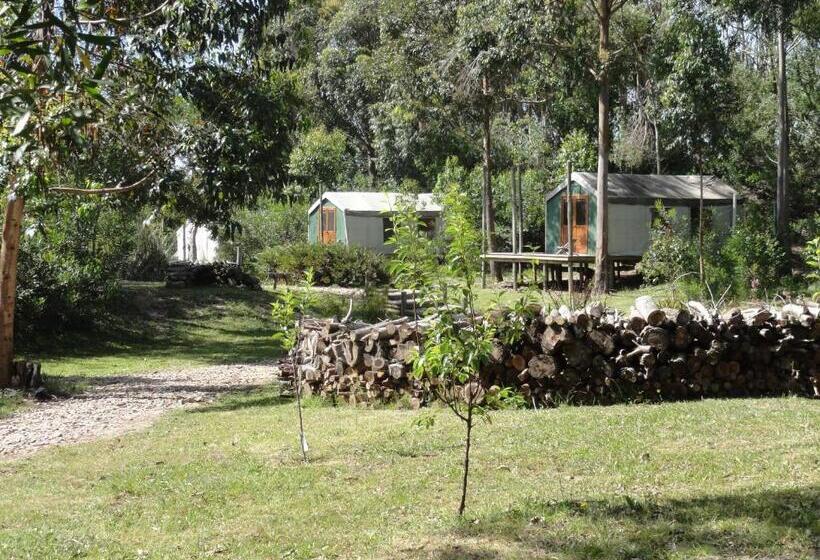 هتل Pueblo Barrancas