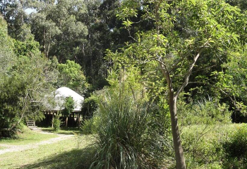 هتل Pueblo Barrancas