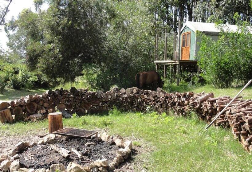 هتل Pueblo Barrancas