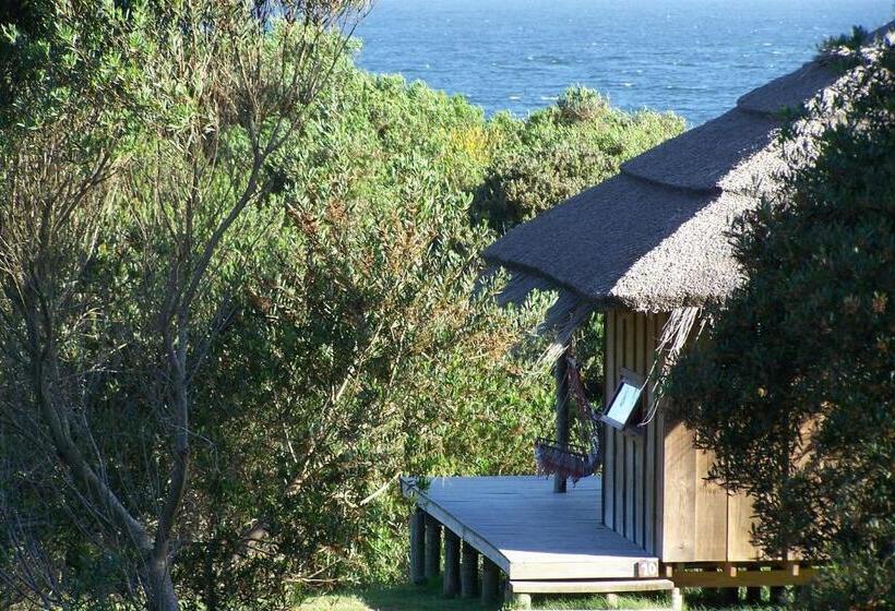 هتل Pueblo Barrancas