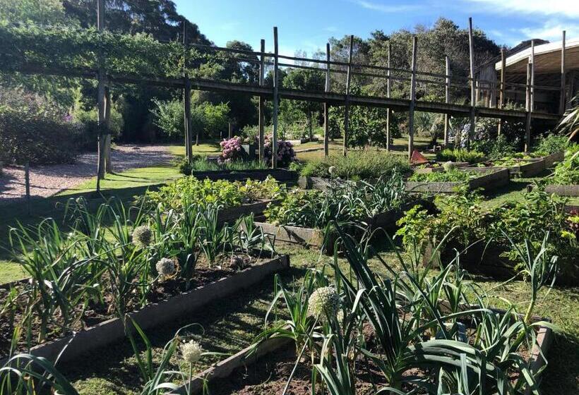 هتل Pueblo Barrancas