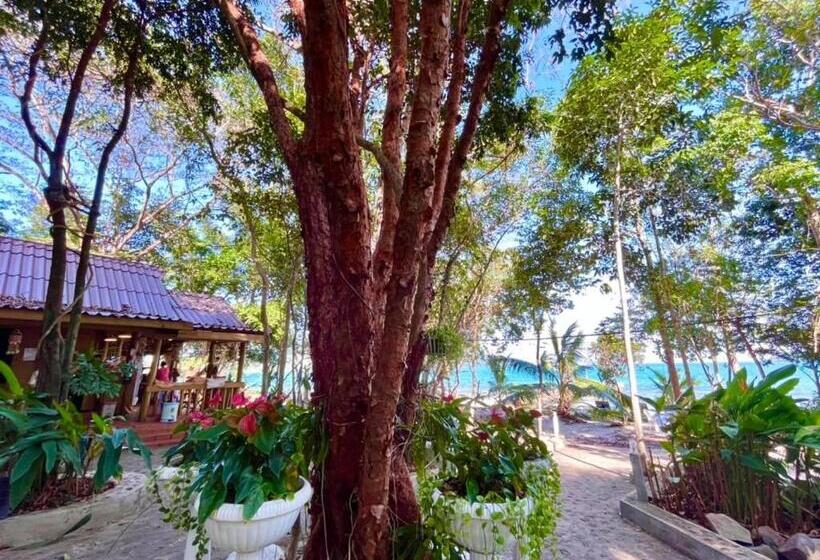 ホテル The Wavy Sailor Bungalow S