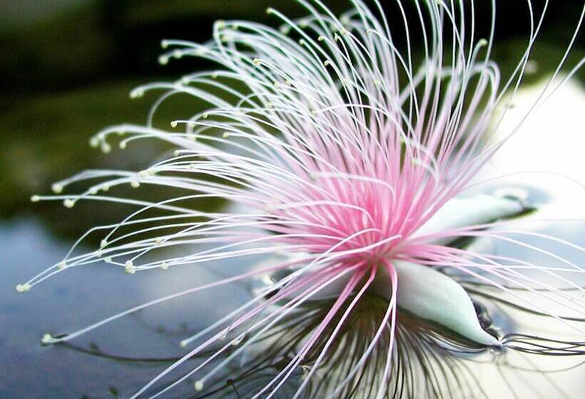 فندق Villa Unarizaki