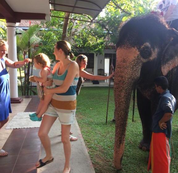 فندق White Bridge House & Resort