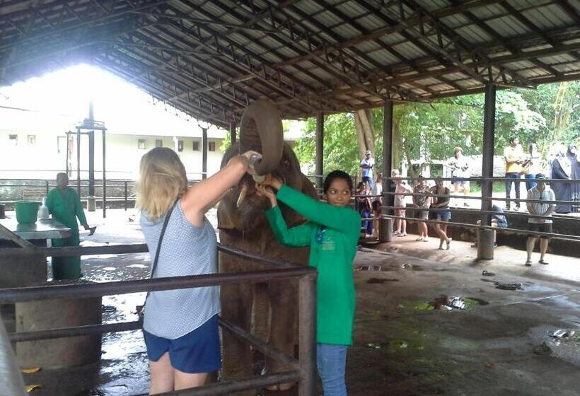 ホテル White Bridge House & Resort