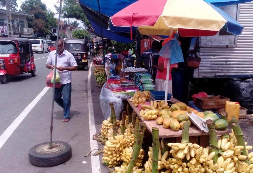 ホテル White Bridge House & Resort