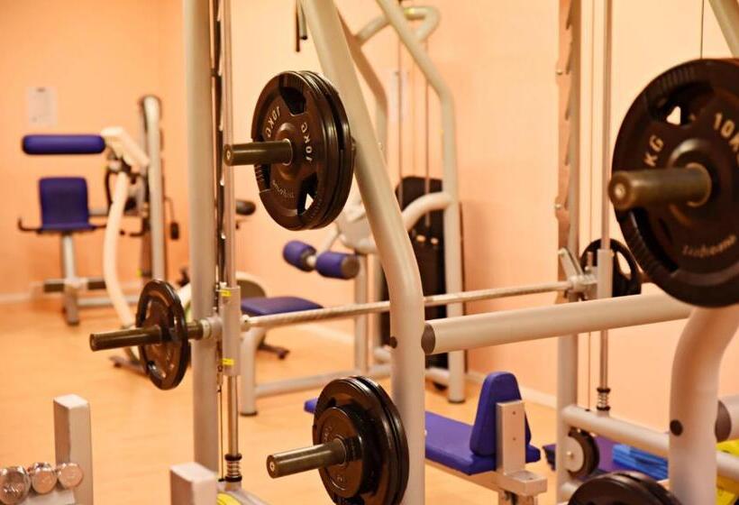 בית מלון כפרי Ylläsrinne