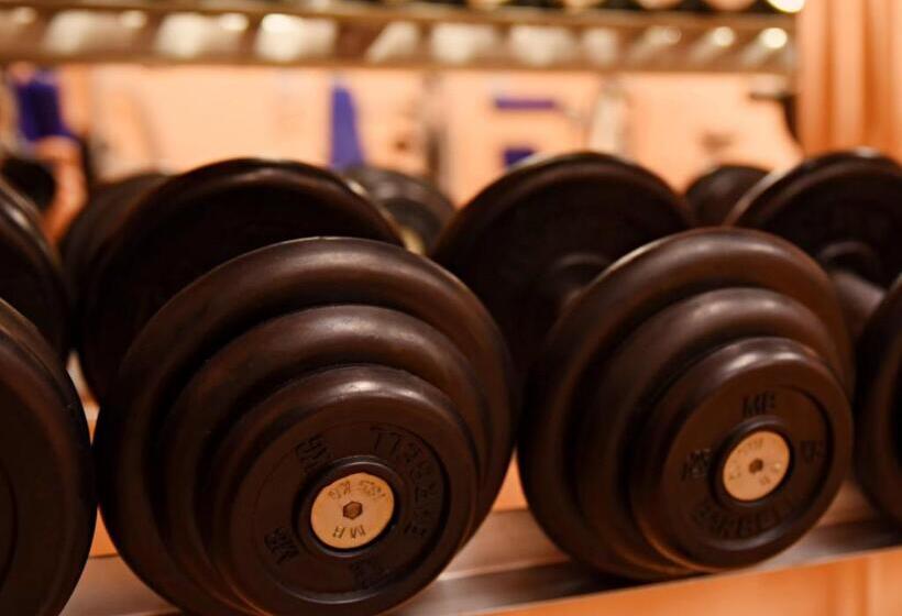 בית מלון כפרי Ylläsrinne