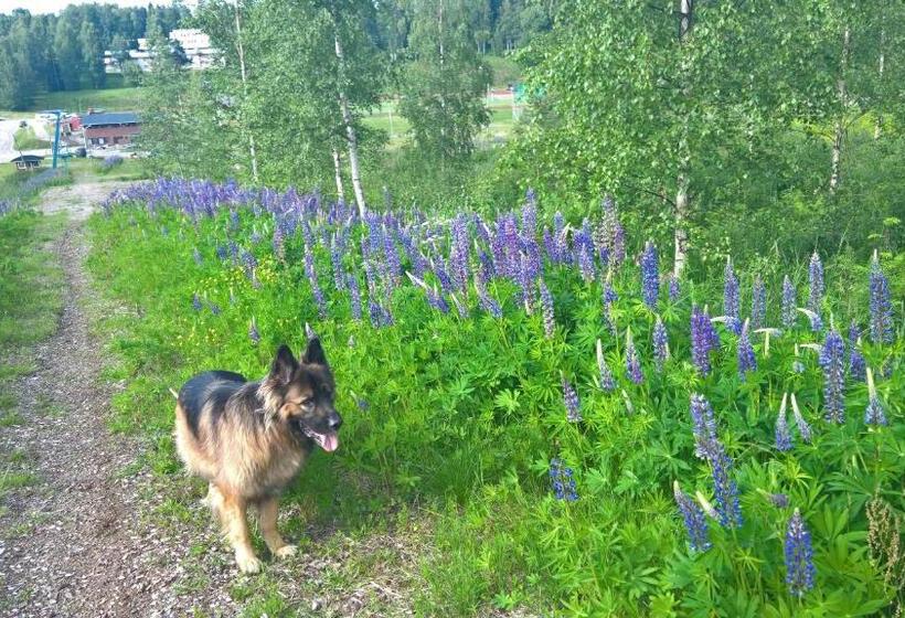 Huoneistohotelli Domusvirrat