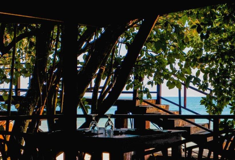 Japamala Resort By Samadhi Age 12 And Above Only