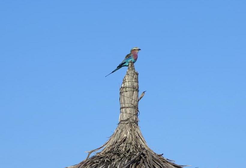 צימר Butiama Bustani