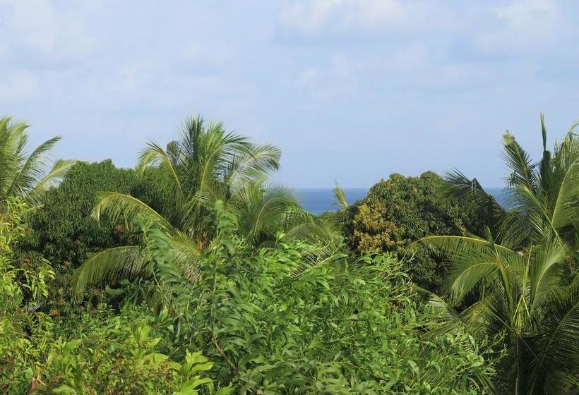 צימר Butiama Bustani