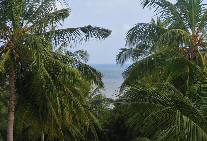 مبيت وإفطار Butiama Bustani