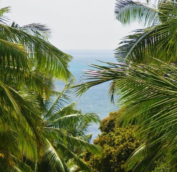 צימר Butiama Bustani