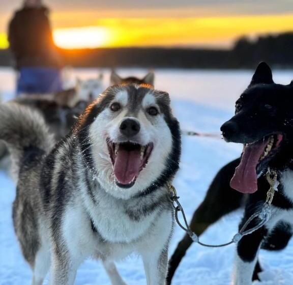 Norwide   Hossan Lomakeskus