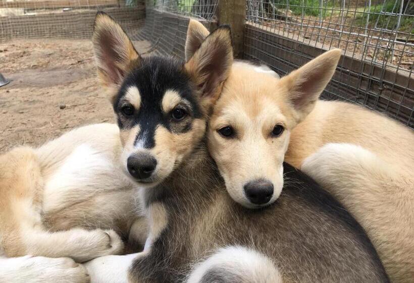 Norwide   Hossan Lomakeskus