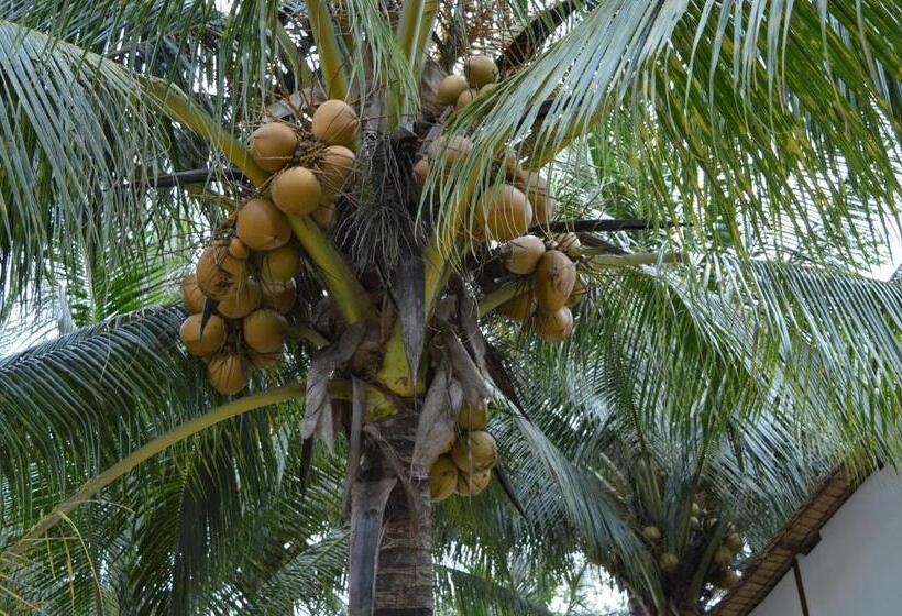 Palm Beach Bungalow Resort