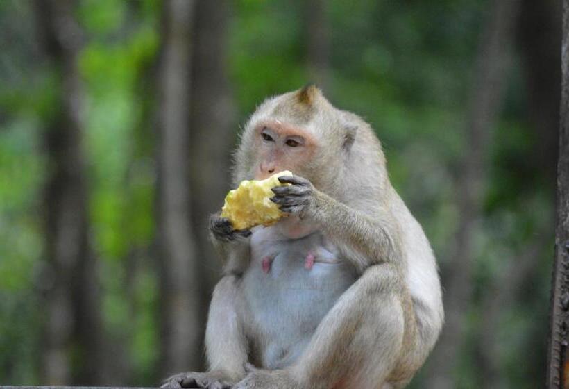 Palm Beach Bungalow Resort