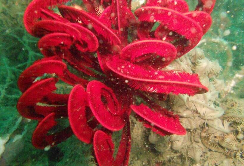 Palm Beach Bungalow Resort