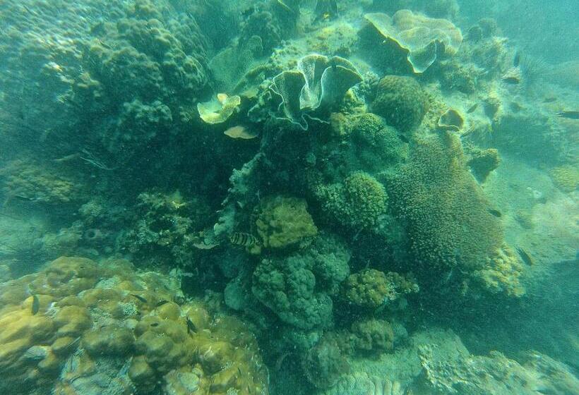 Palm Beach Bungalow Resort