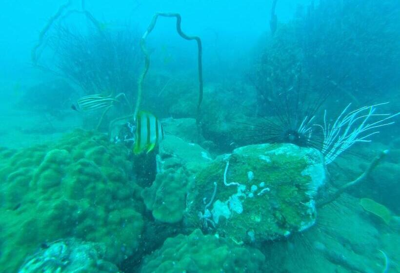 Palm Beach Bungalow Resort