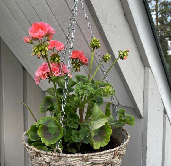 אתר נופש Arctic Lodge Hetan Kota