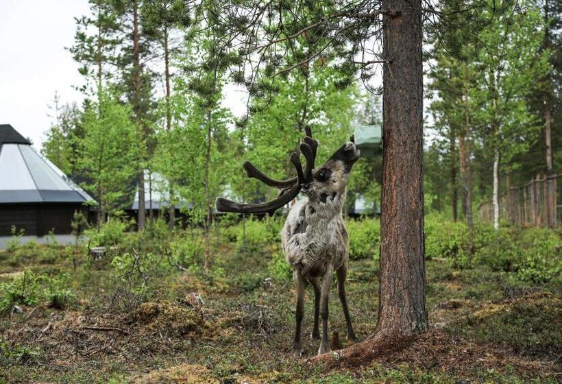 リゾートホテル Aurora Village Ivalo