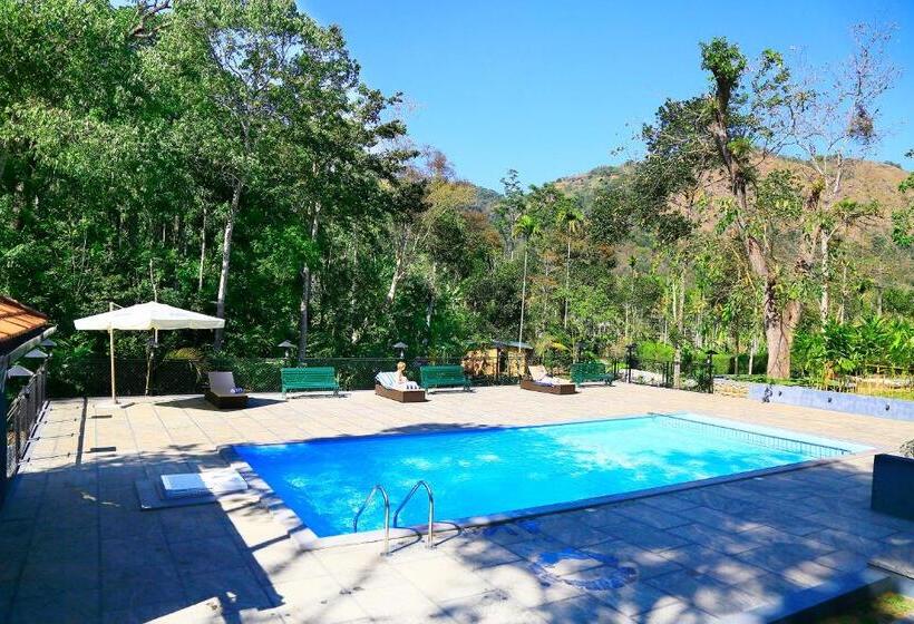 استراحتگاه Coffee Routes