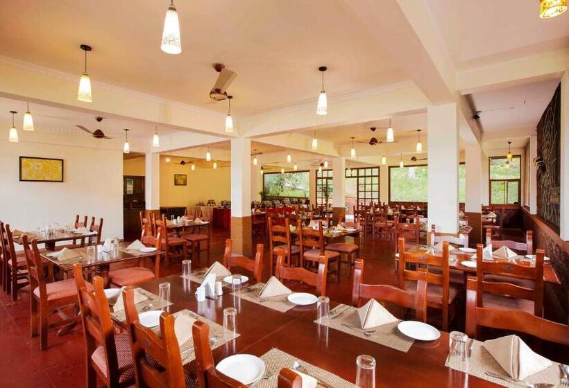 استراحتگاه Coffee Routes