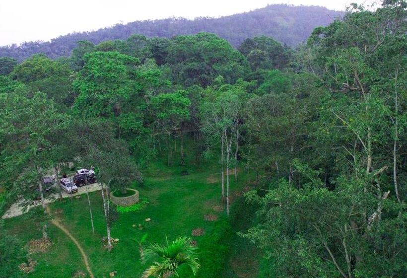 استراحتگاه Coffee Routes