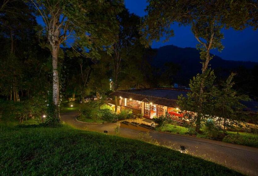 استراحتگاه Coffee Routes