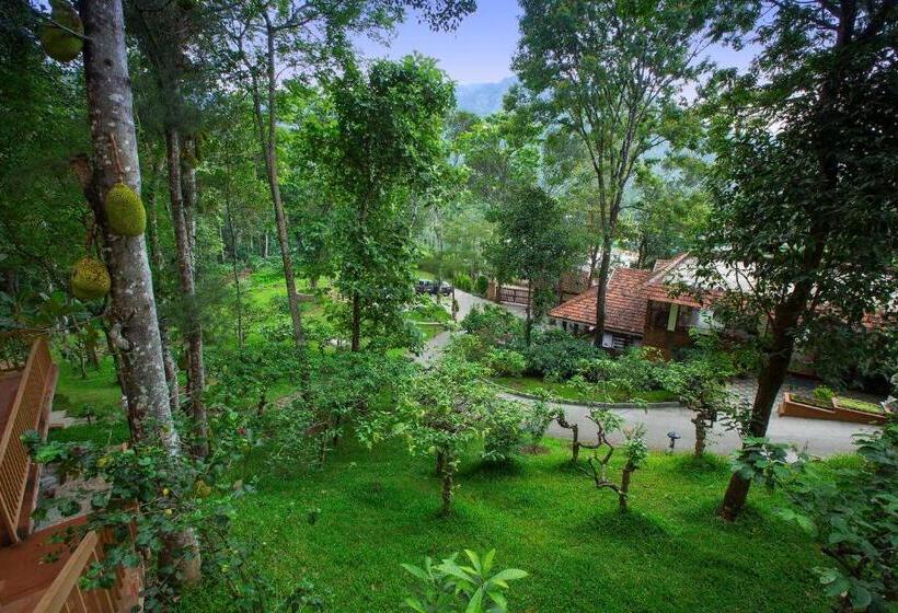 استراحتگاه Coffee Routes