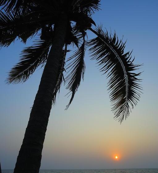 Курорт Sea Star Beach Homes
