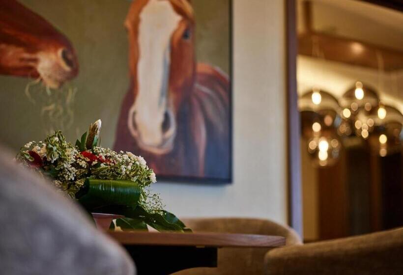 אתר נופש X Bionic