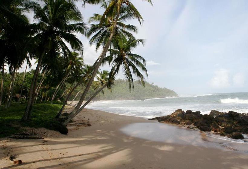 리조트 Plantation Surf Inn & Restaurant