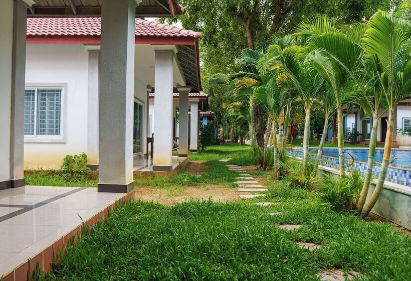 펜션 New Dragon Inn Guest House