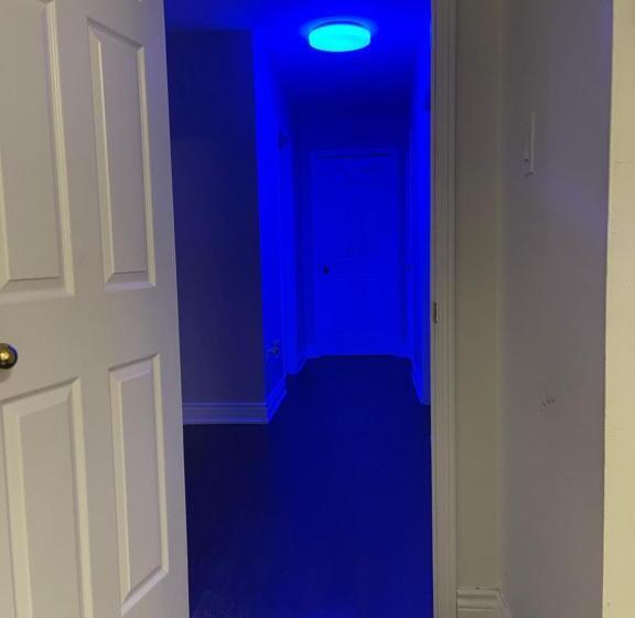 بنسيون The Grandeur